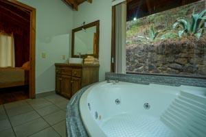 Cabaña Gemela 1 imagen 12